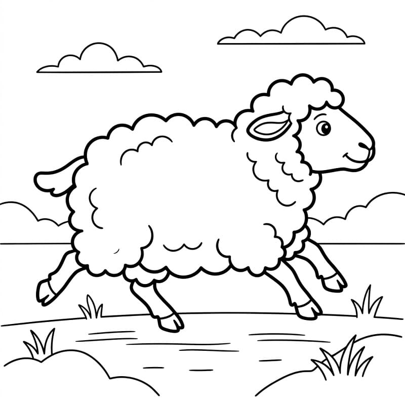 Ovce zdarma omalovánka