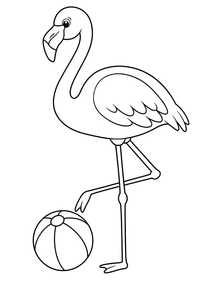 Plameňák obrázek zdarma omalovánka