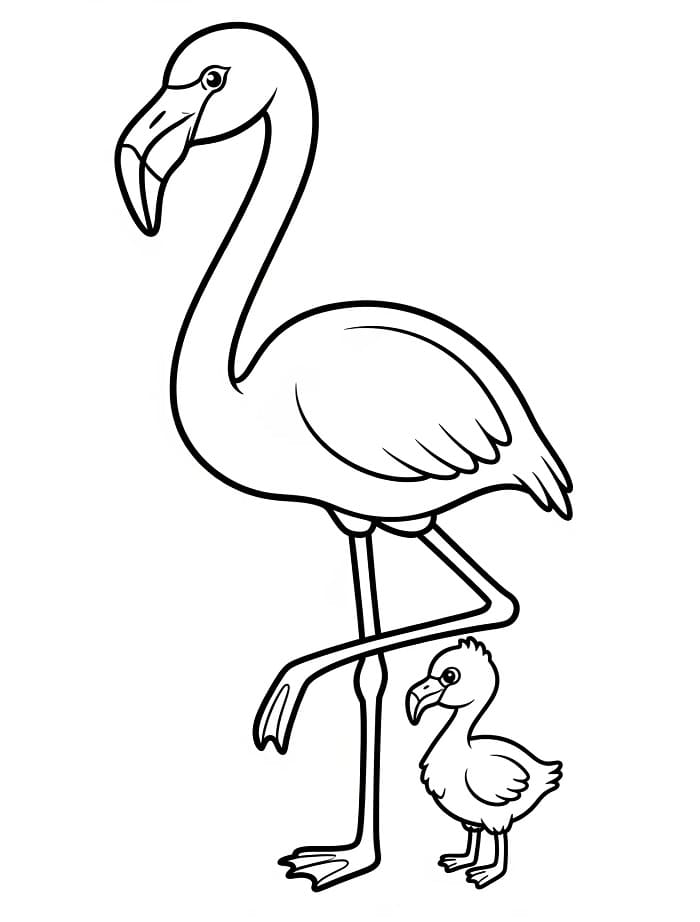 Plameňák pro děti omalovánka