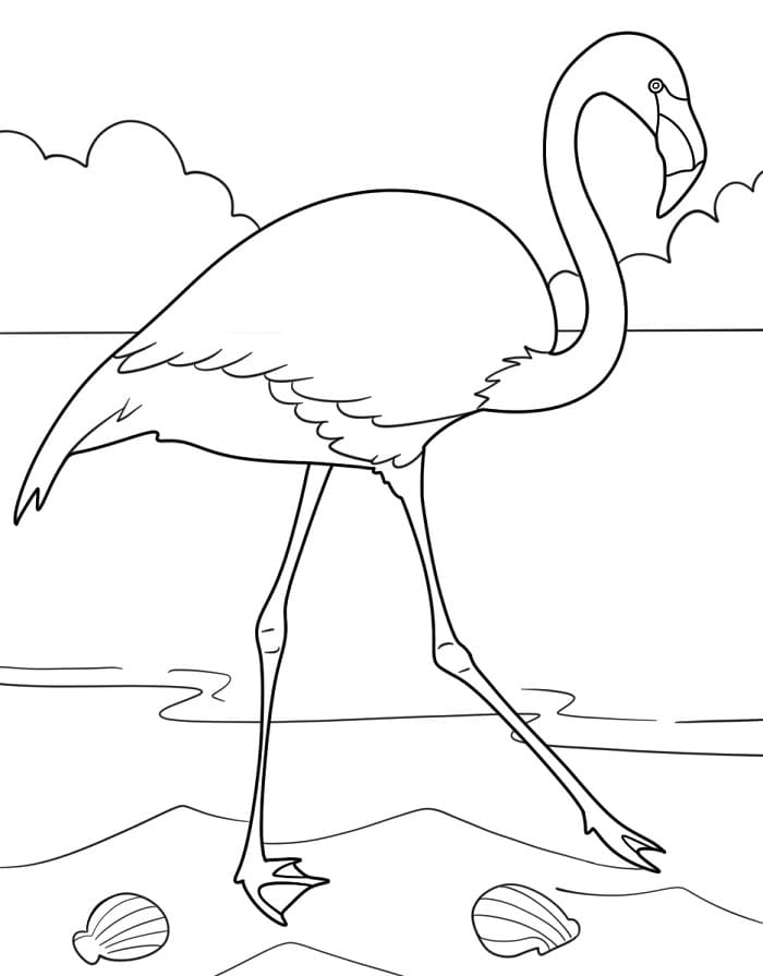 Plameňák zdarma tisknutelný omalovánka