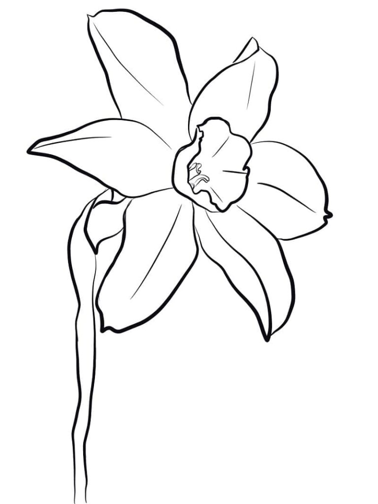 Omalovánka Příjemný Narcis