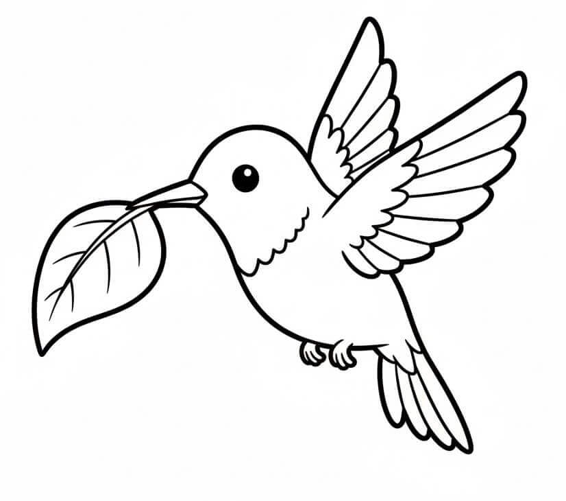Půvabný Kolibřík omalovánka