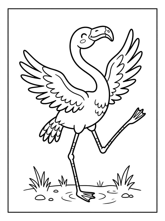 Půvabný Plameňák omalovánka