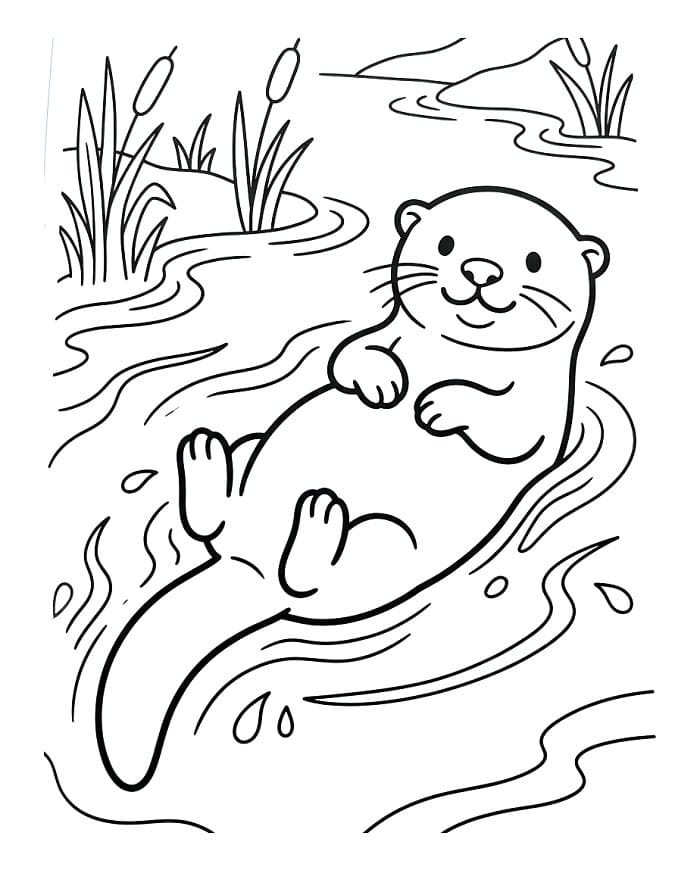 Rozkošná vydra omalovánka