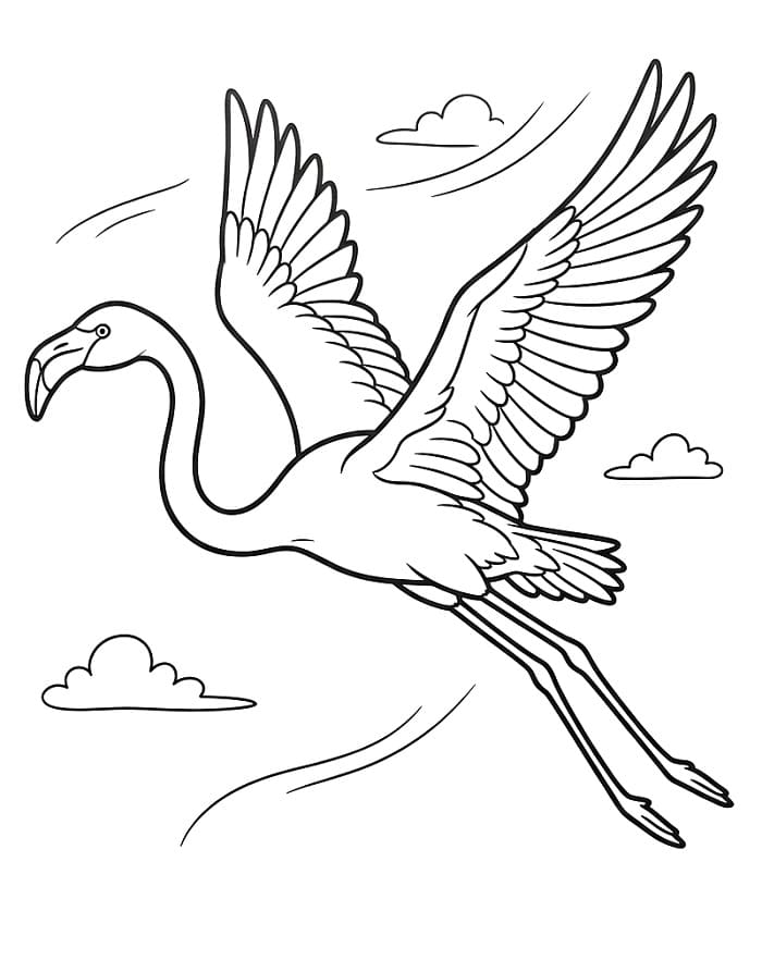 Rozkošný Plameňák omalovánka