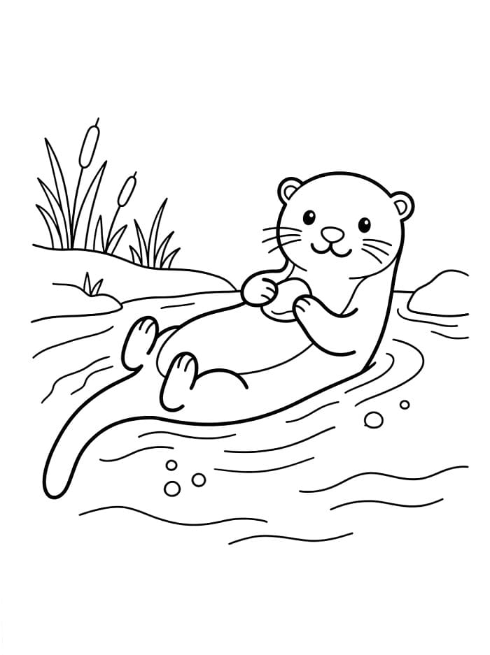 Roztomilá vydra omalovánka