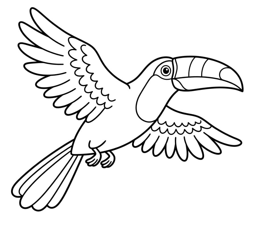 Roztomilý tukan omalovánka