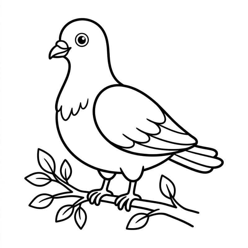 Skvělý holub omalovánka