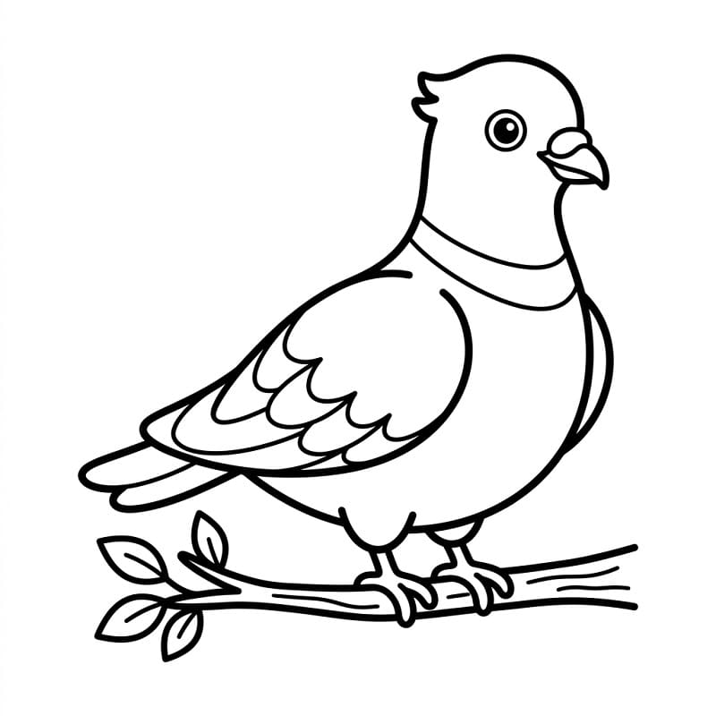 Snadný holub omalovánka