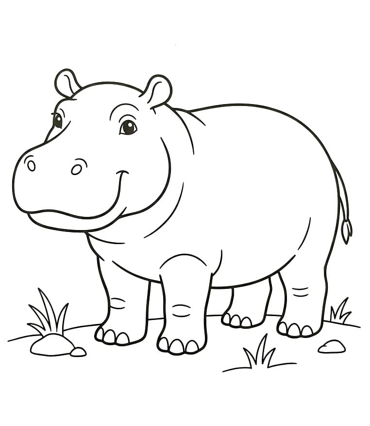 Snadný hroch omalovánka