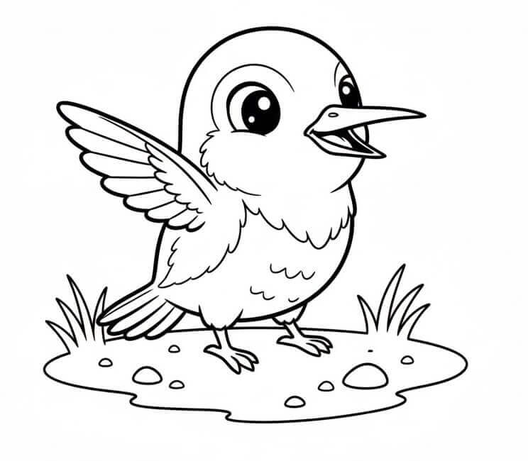 Šťastný Kolibřík omalovánka