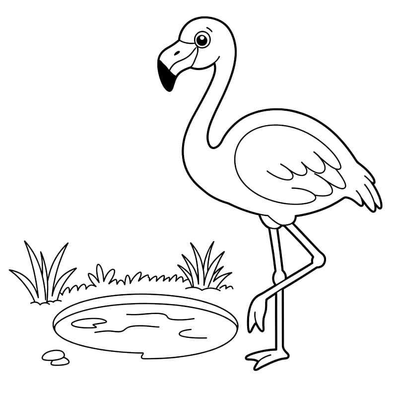 Tisknutelný zdarma Plameňák omalovánka