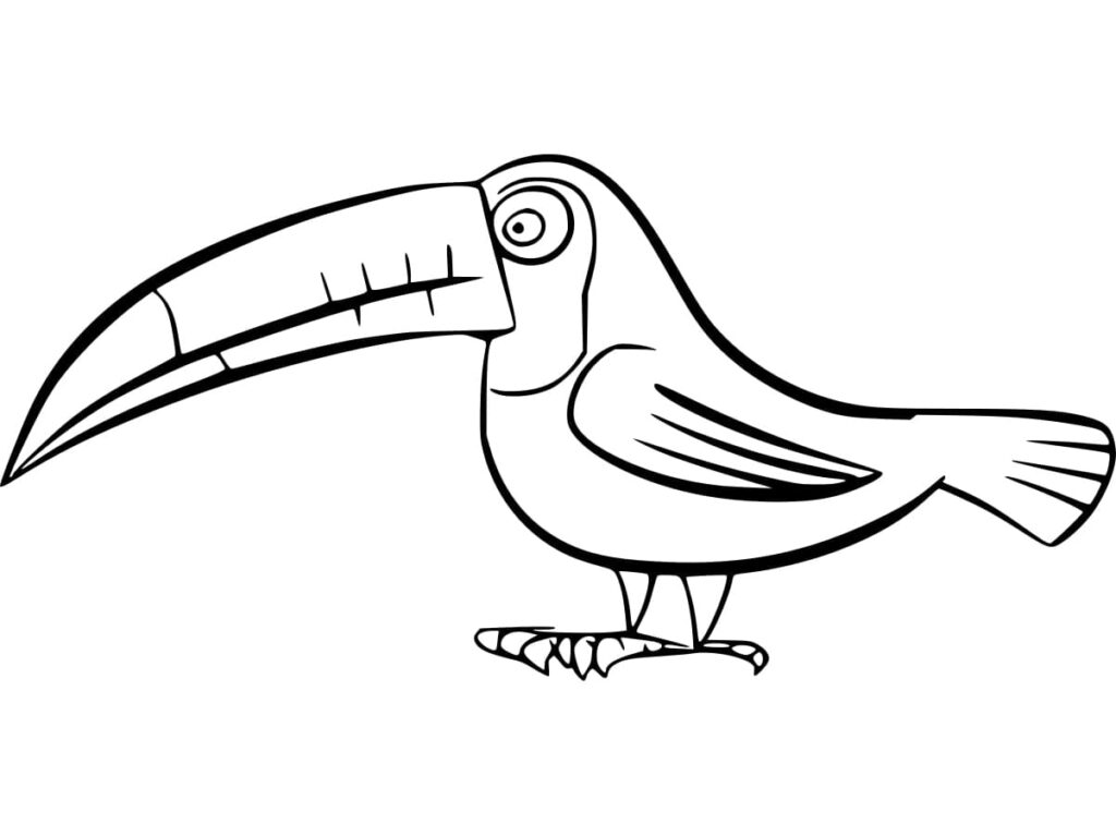 Omalovánka Tukan k tisku