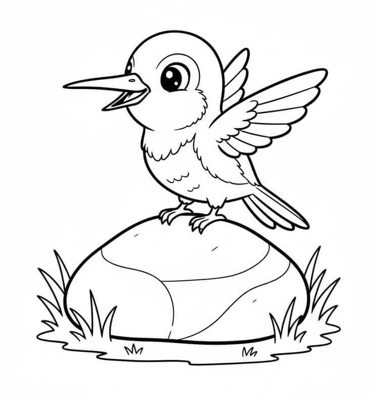 Kolibřík omalovánky