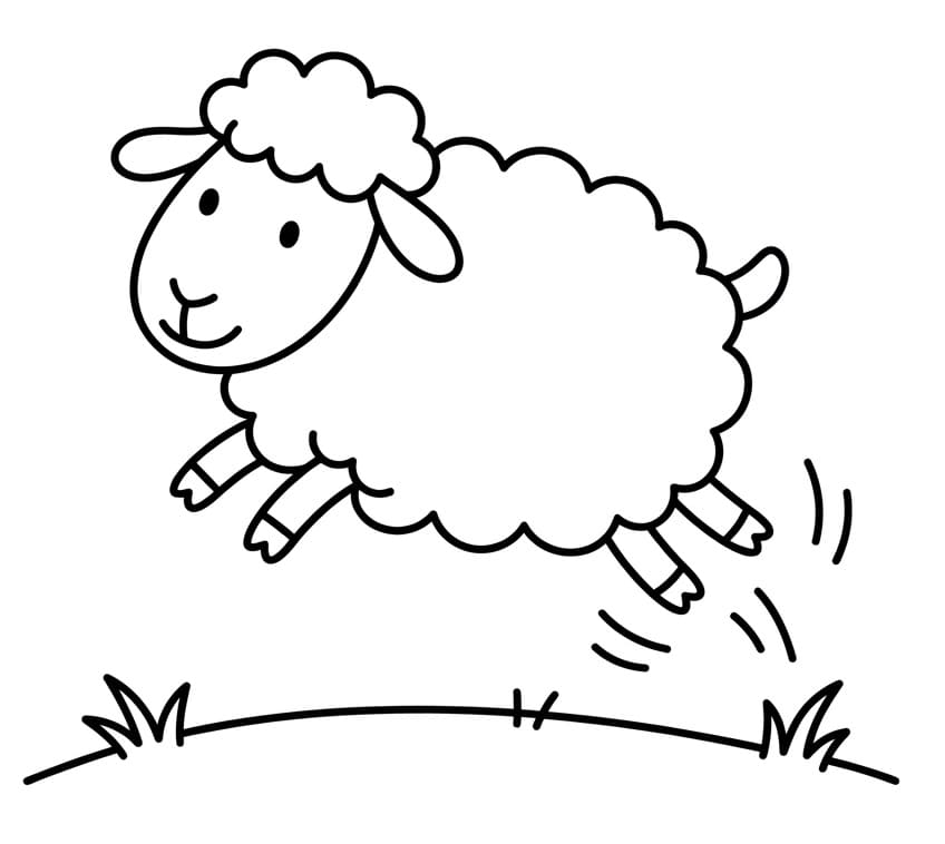 Vtipná ovce omalovánka