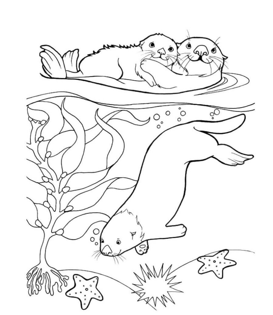 Omalovánka Vydra připravená k tisku