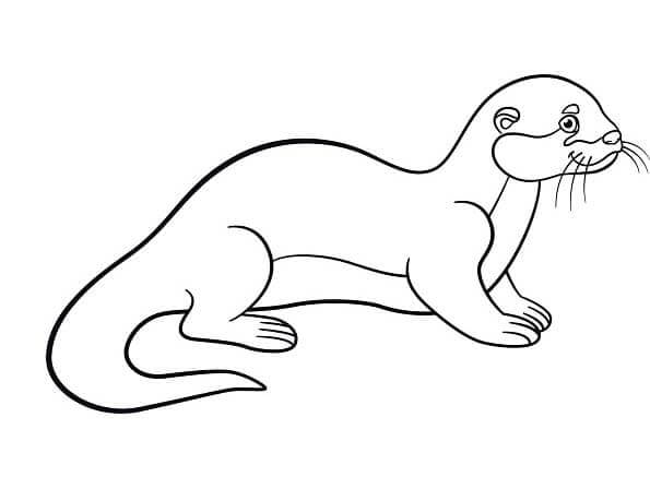 Vydra pro děti omalovánka