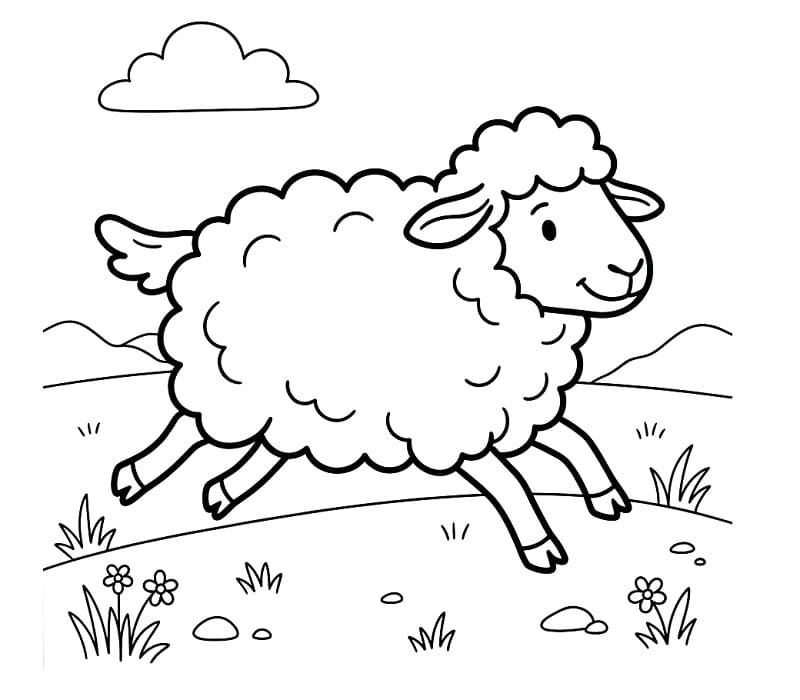 Vytisknout ovci omalovánka