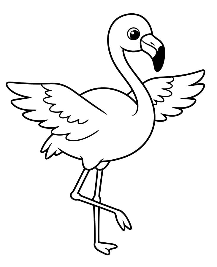 Zdarma Plameňák k tisku omalovánka