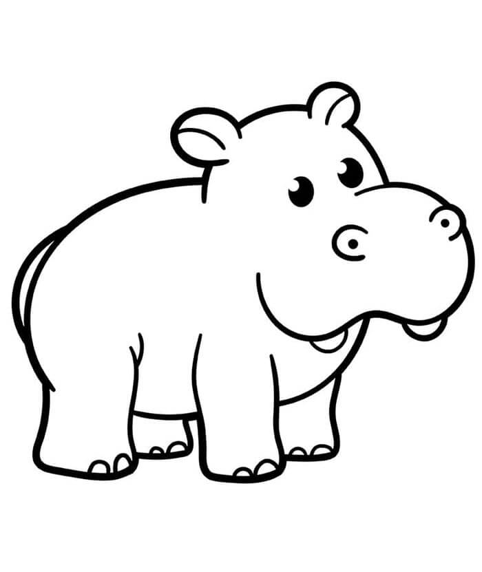 Zdarma obrázek hrocha omalovánka