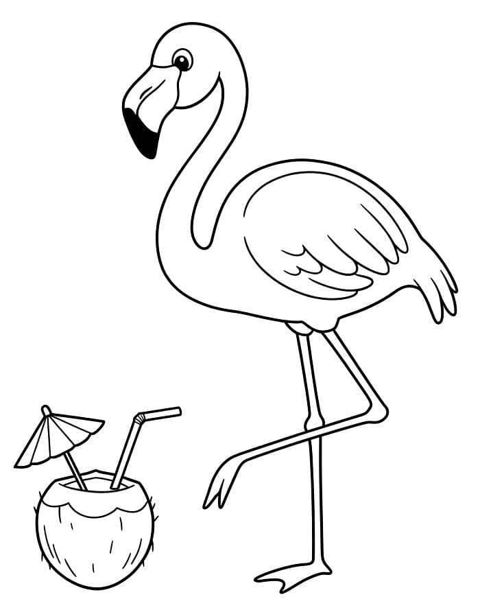 Zdarma tisknutelný Plameňák omalovánka