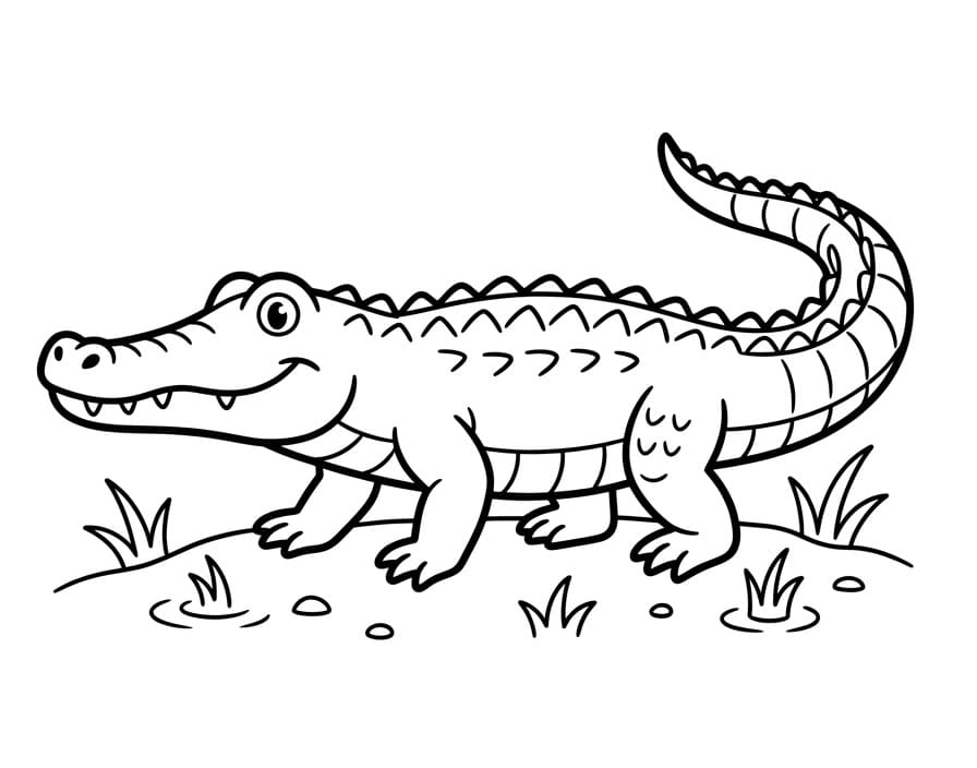 Zvíře aligátor omalovánka