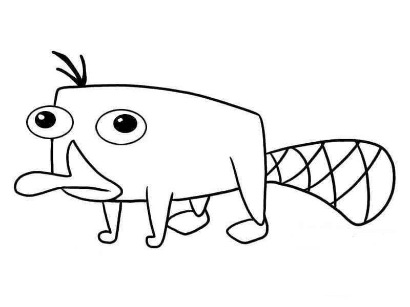 Phineas a Ferb 3 omalovánka