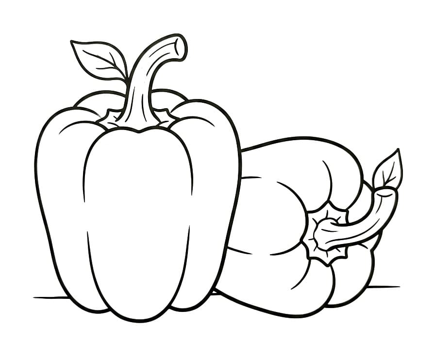 Paprika omalovánky