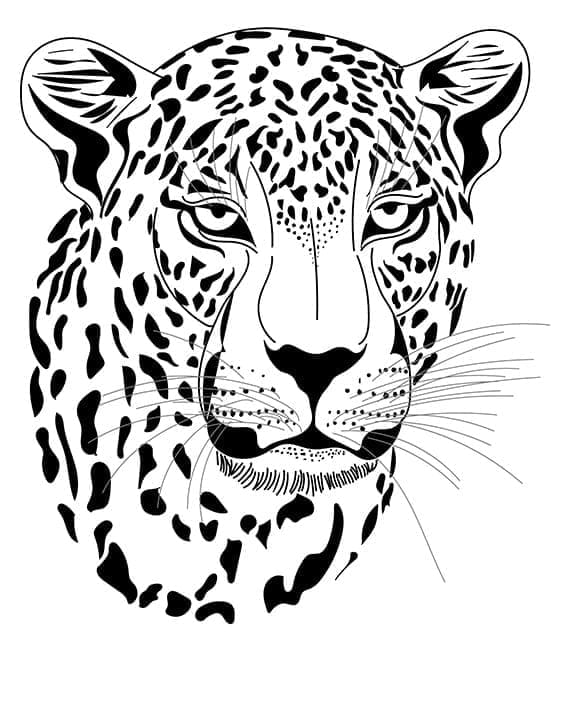 Bezplatný Leopard k tisku omalovánka