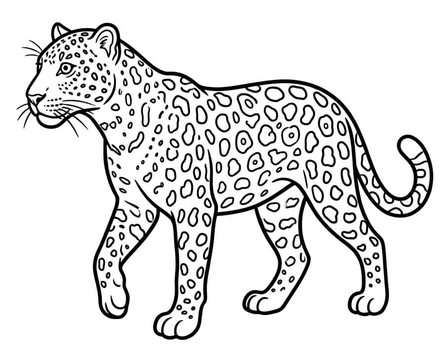 Bezplatný Leopard omalovánka