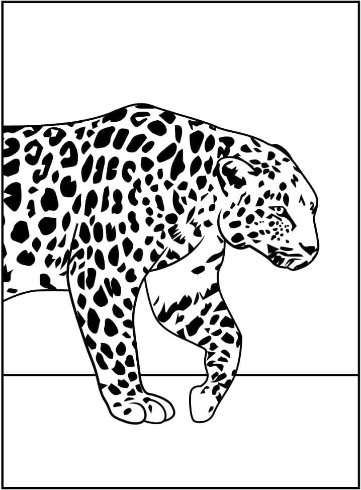 Bezplatný obrázek Leoparda omalovánka