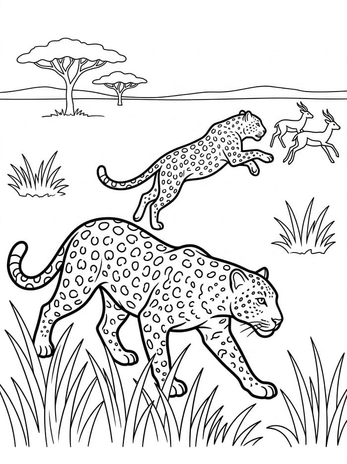 Jednoduchý Leopard omalovánka