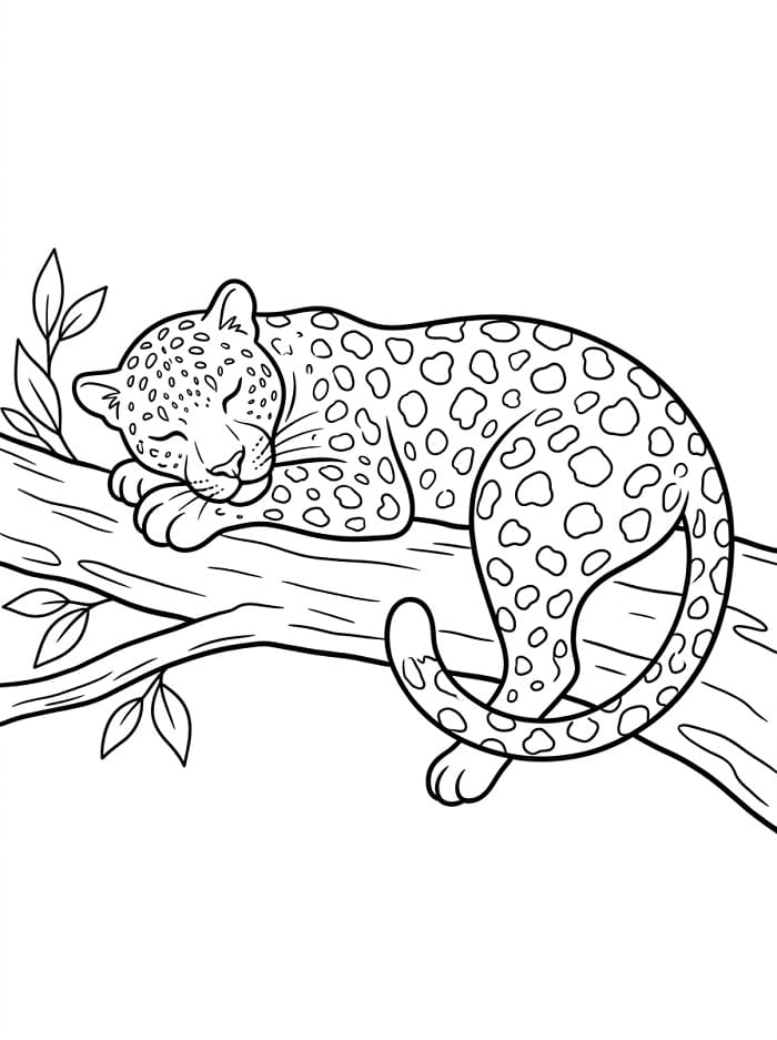 Normální Leopard omalovánka