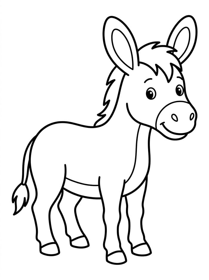 Normální osel omalovánka