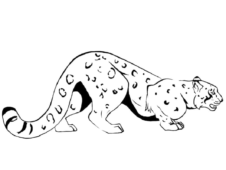 Obrázek Leoparda omalovánka
