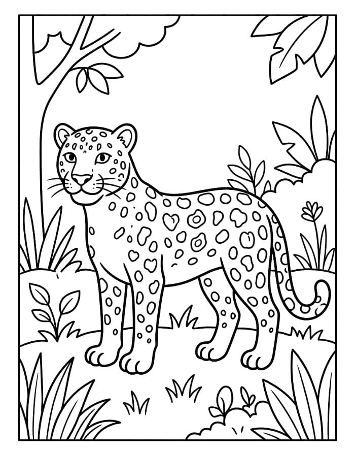 Parádní Leopard omalovánka