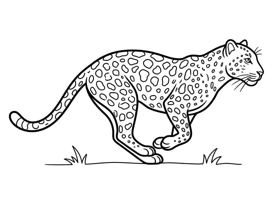 Roztomilý Leopard omalovánka