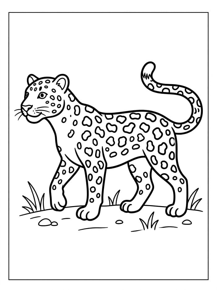 Skvělý Leopard omalovánka