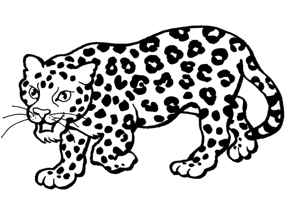 Tisknutelný Leopard pro děti omalovánka