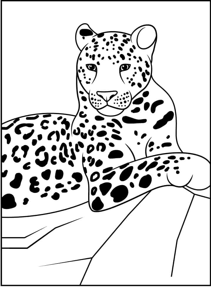 Tisknutelný Leopard zadarmo omalovánka