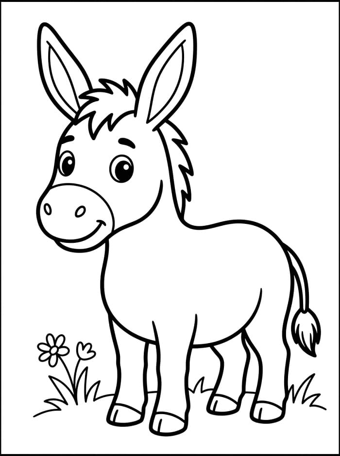 Úžasný osel omalovánka