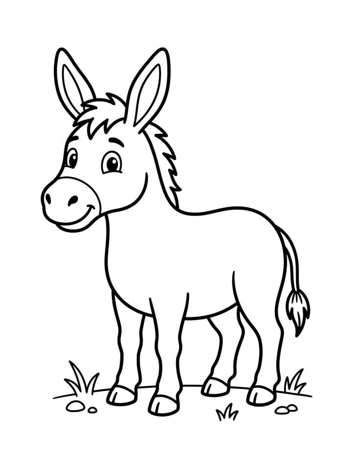 Zvíře osel omalovánka