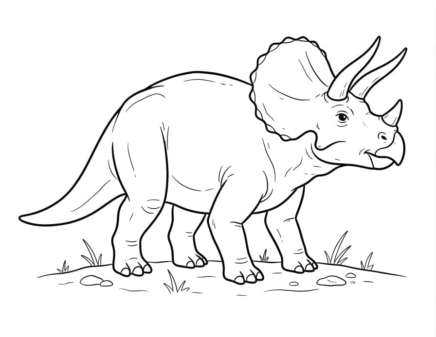 Běžný Triceratops omalovánka