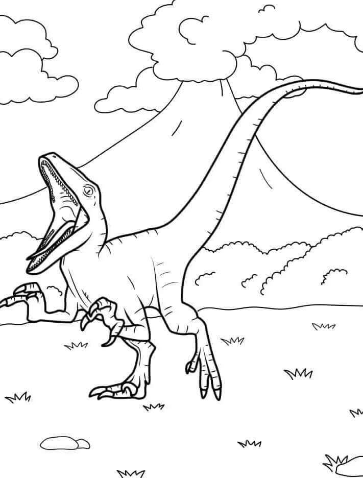 Bezplatný Velociraptor k tisku omalovánka