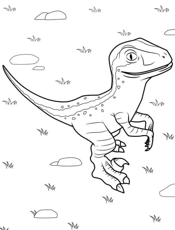 Bezplatný tisknutelný Velociraptor omalovánka