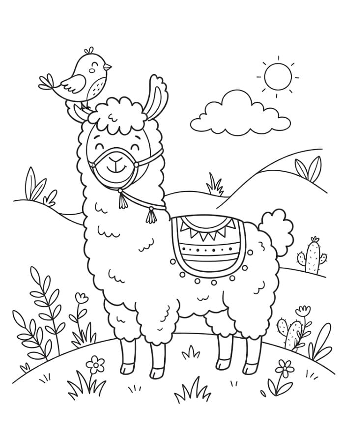 Lama a ptáček omalovánka