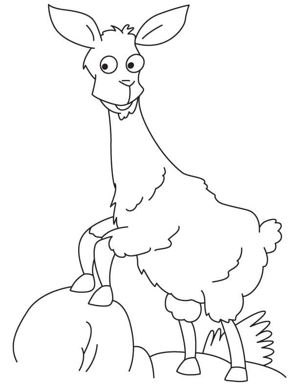 Lama tisknutelná omalovánka