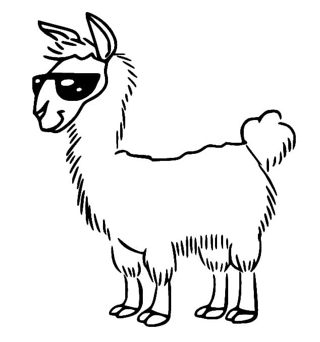Lama zadarmo omalovánka