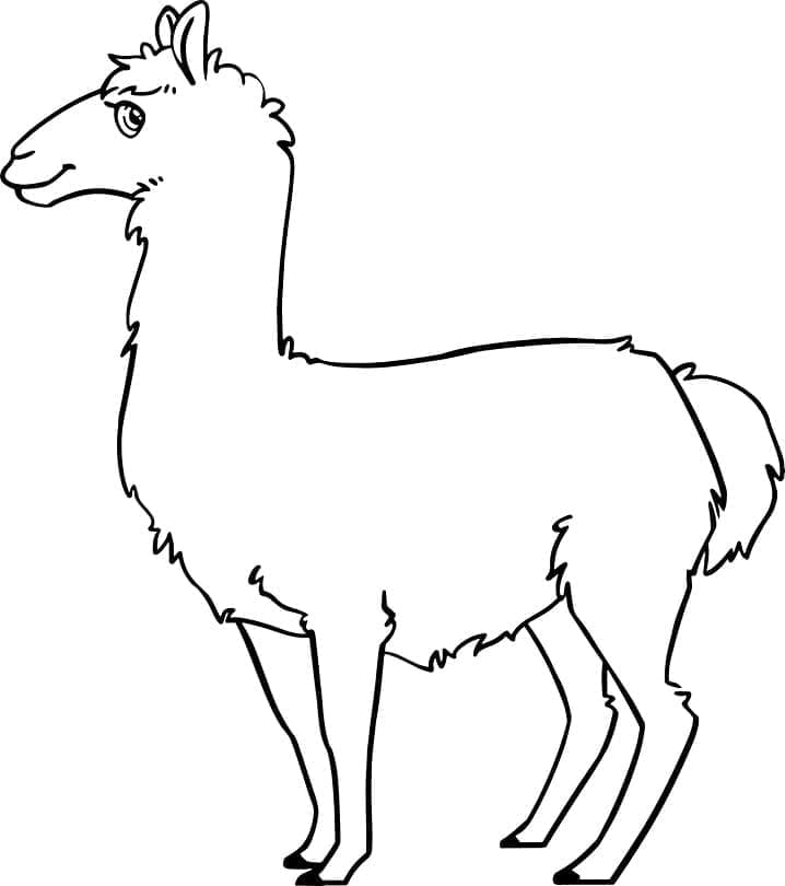 Lama zdarma pro děti omalovánka