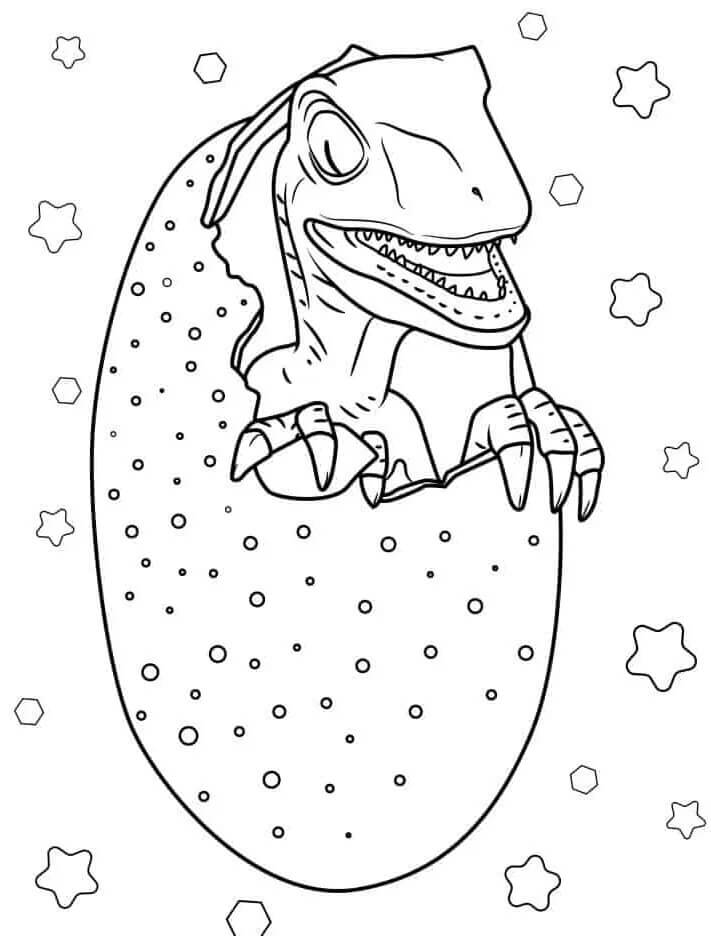 Tisknutelný obrázek Velociraptora omalovánka